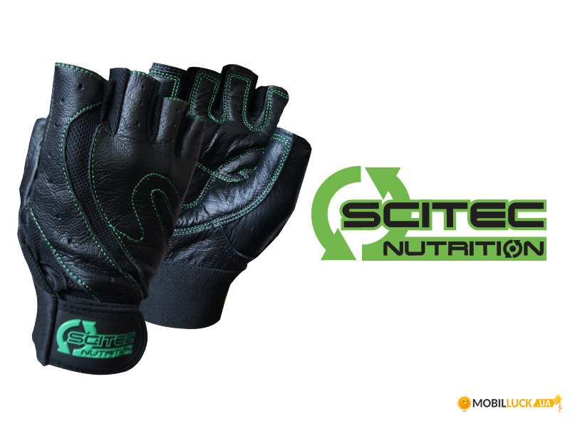  Scitec Nutrition Green Style XXL