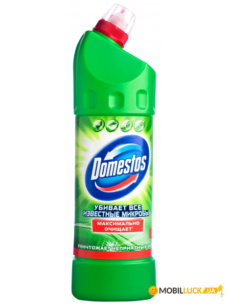   Domestos   24  1  094891