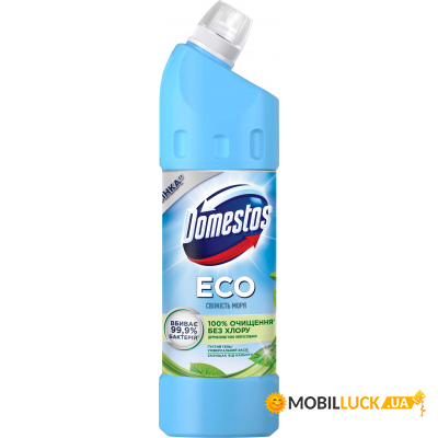     Domestos   1  (8720182992680)