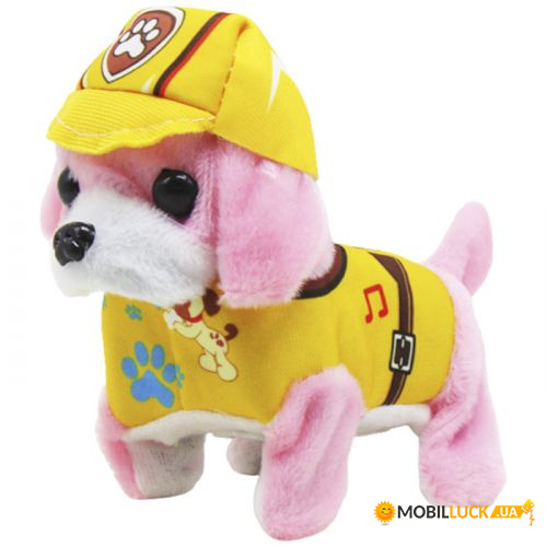   Paw Patrol:  (KA-23-166)