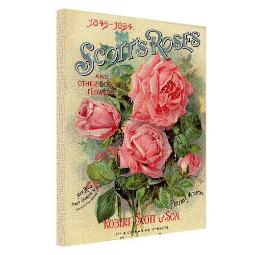    4565  Scott`s Roses H4565_RET021