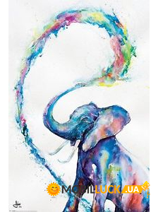  Marc Allante (Elephant) (PP 33907@)