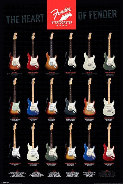  Fender - Stratocaster