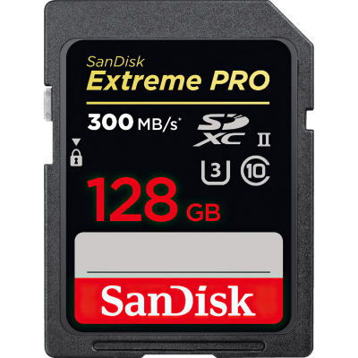  ' SanDisk 128GB SDXC (SDSDXDK-128G-GN4IN)