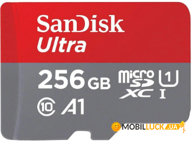   SanDisk (SDSQUAC-256G-GN6MA)