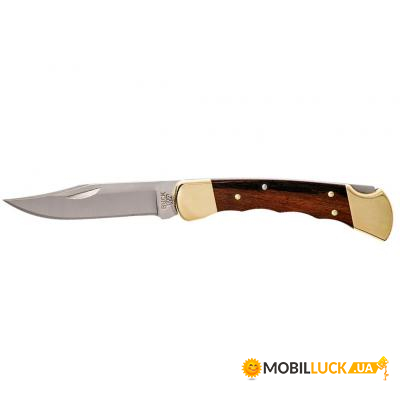  Buck 110 Folding Hunter (110BRSFGB)