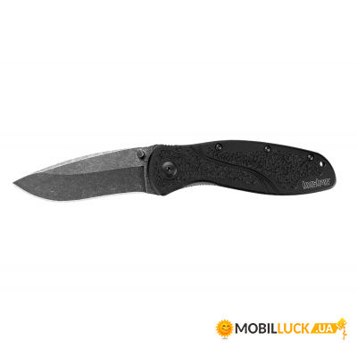  Kershaw Blur Blackwash (1670BW)