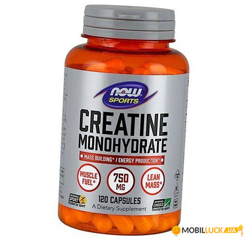        Now Foods Creatine Monohydrate 750 120 (31128003)