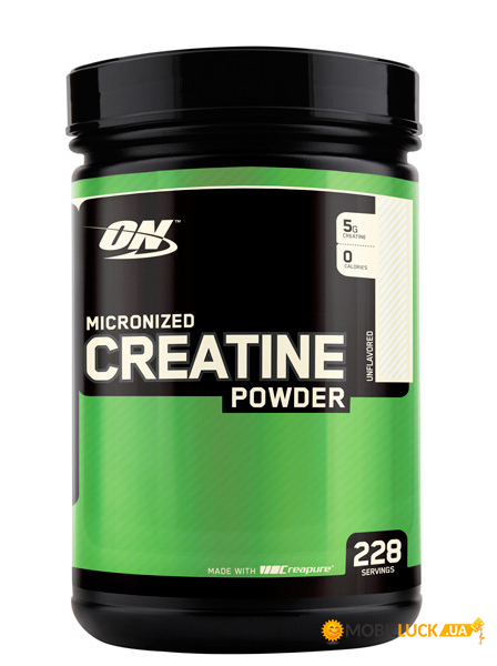   Optimum Nutrition Creatine powder 1200 