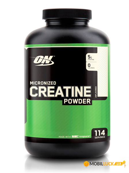   Optimum Nutrition Creatine powder 600 