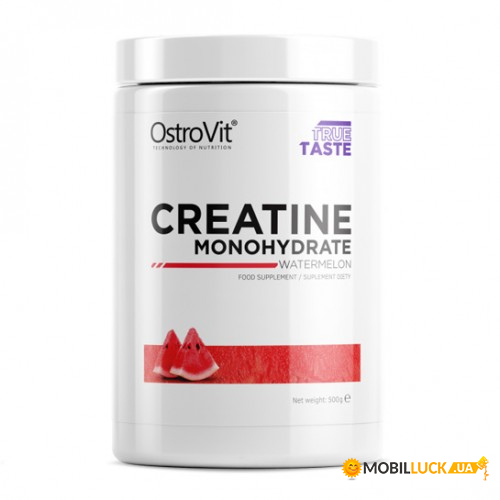  OstroVit Creatine 500g 