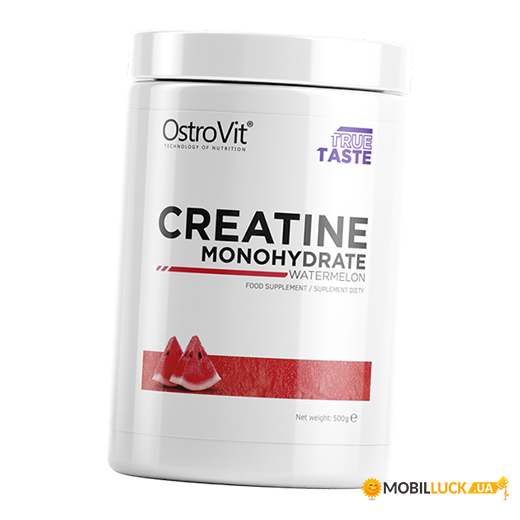  Ostrovit Creatine Monohydrate 500  (31250008)