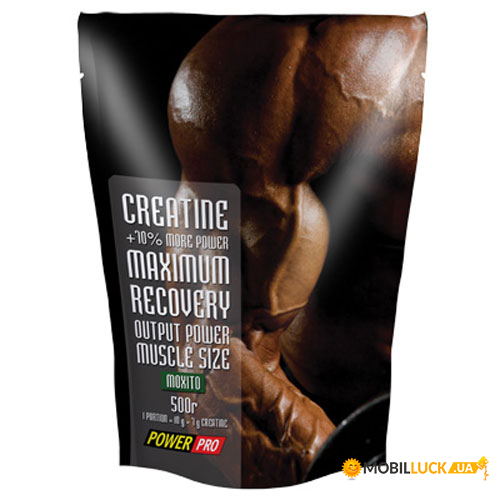  Power Pro Creatine 500  