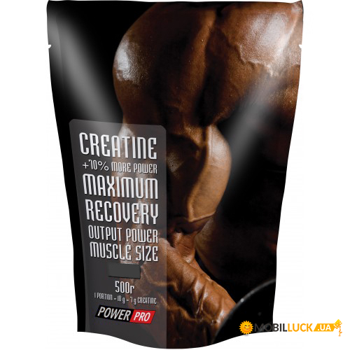  Power Pro Creatine Maximum Recovery, 500g 