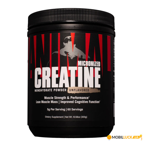  Universal Nutrition Micronized Creatine 300 