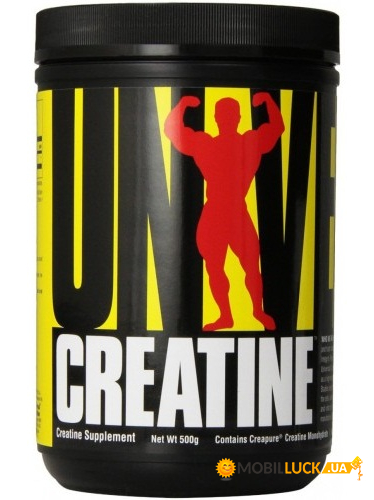  Universal Creatine Powder 500 