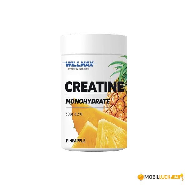   Willmax Creatine Monohydrate 500  