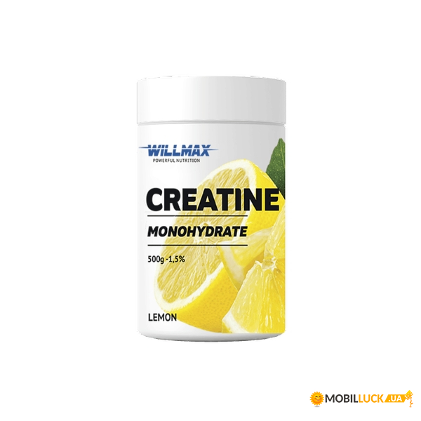   Willmax Creatine Monohydrate 500  