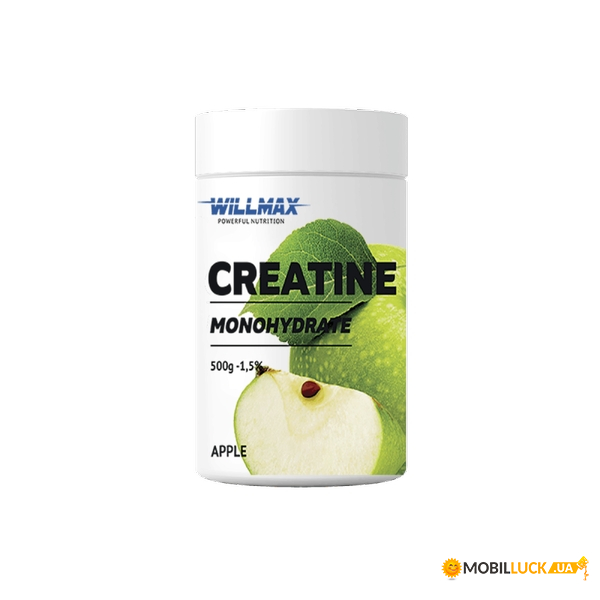   Willmax Creatine Monohydrate 500  