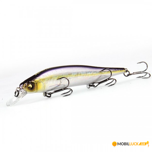   Bearking Ito Shiner 115SP L