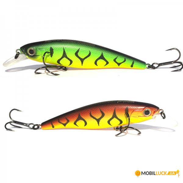  Bearking Squad Minnow 65SP  A