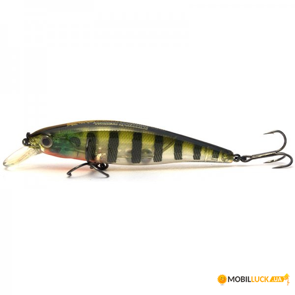  Bearking Squad Minnow 95SP  E