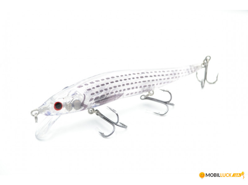  Worgen Minnow M262SX 11  14  72B (4101262872)