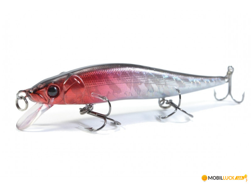  Worgen Minnow M262SX 11  14  78 (4101262978)