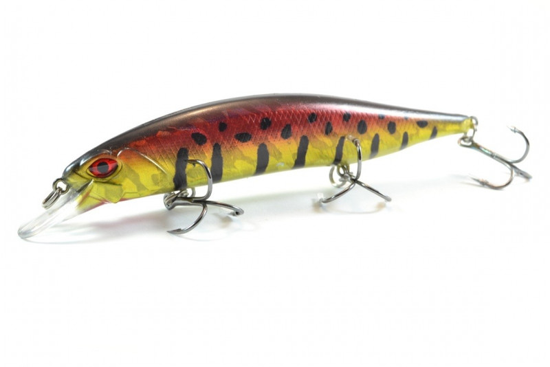  Worgen Minnow M401 12  20  81 (4101401281)