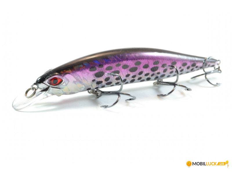  Worgen Minnow M401 12  20  83 (4101401283)