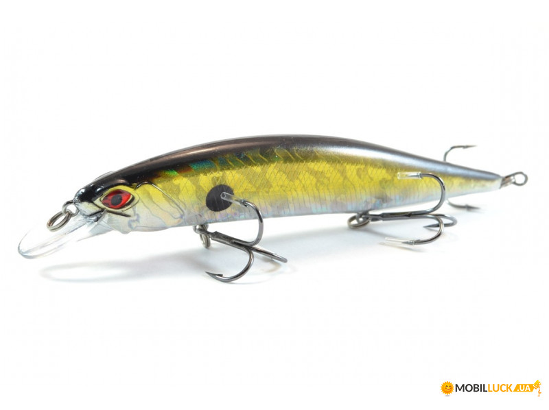  Worgen Minnow M401 12  20  84 (4101401284)