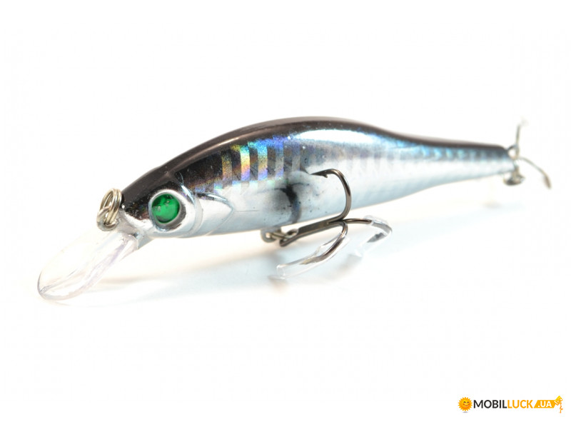  Worgen Minnow M431 8  9  38 (4101431238)