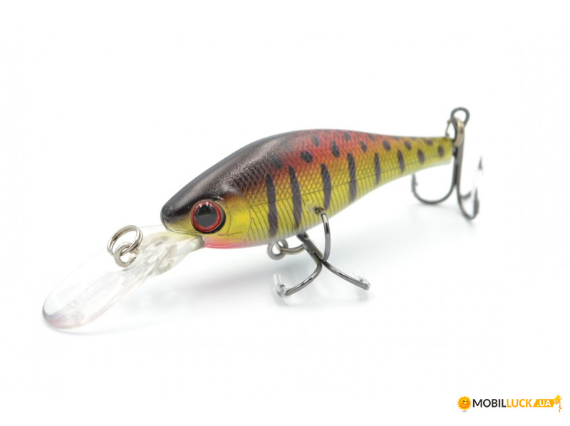  Worgen Minnow M515 6  7.5  81 (4101515281)