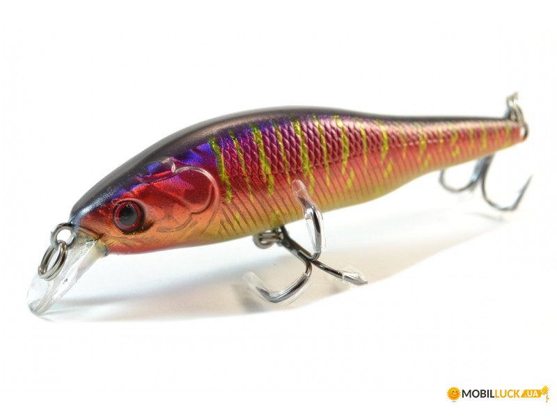  Worgen Minnow M597 8  9.7  65 (4101597265)