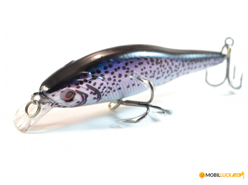  Worgen Minnow M597 8  9.7  71 (4101597271)