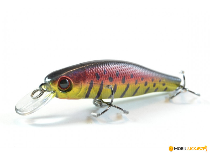  Worgen Minnow M606 7  9  81 (4101606281)