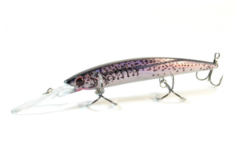  Worgen Minnow M650 11  14.3  71 (4101650271)