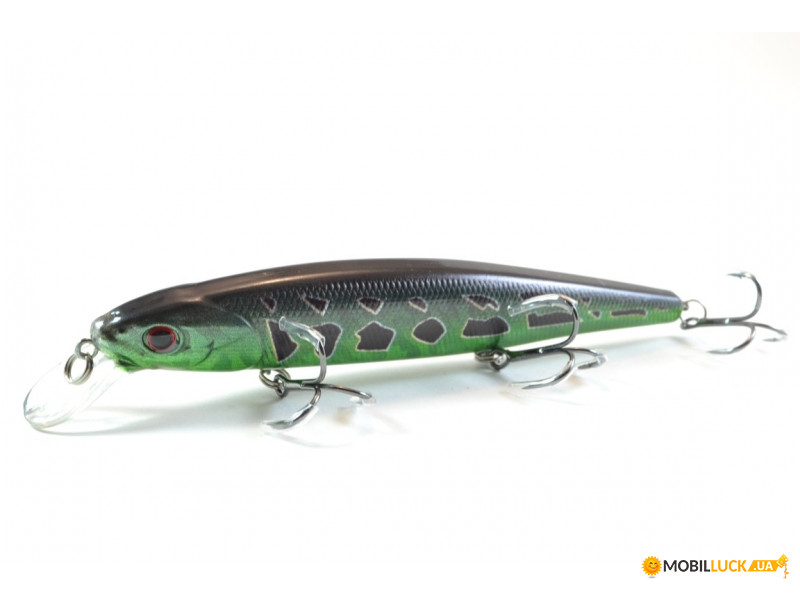  Worgen Minnow M774 12.8  24  76 (4101774276)