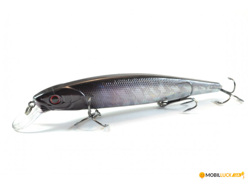  Worgen Minnow M774 12.8  24  79 (4101774279)