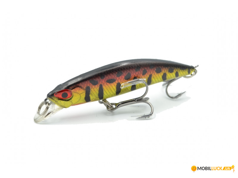  Worgen Minnow M777 6  5 , : 81 81 (4101777281)