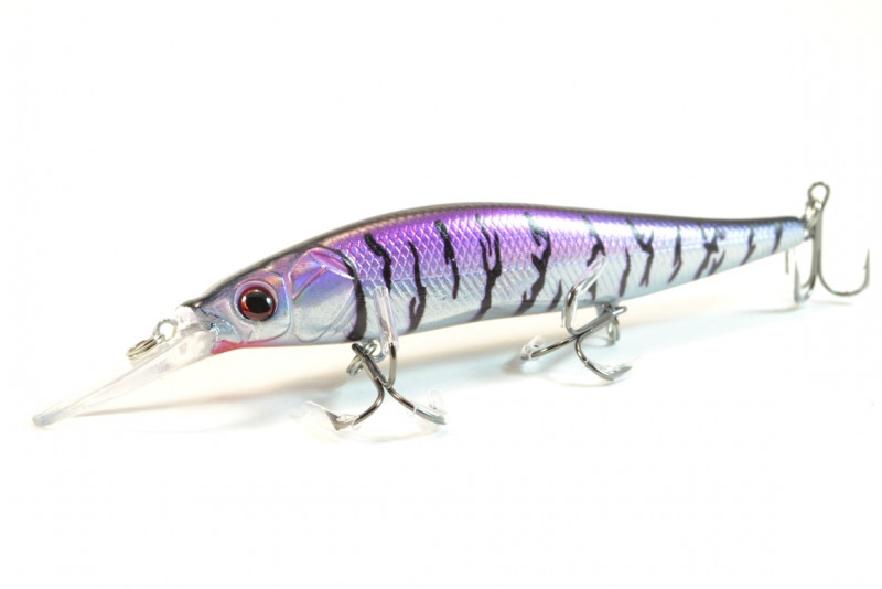  Worgen Minnow M817 11  16  68 (4101817268)