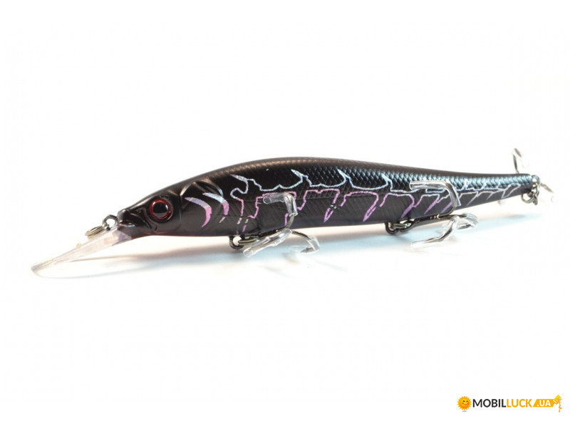  Worgen Minnow M817 11  16  74 (4101817274)