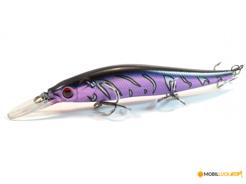  Worgen Minnow M817 11  16  75 (4101817275)