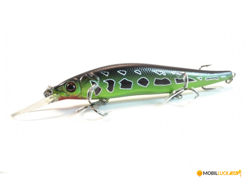  Worgen Minnow M817 11  16  76 (4101817276)