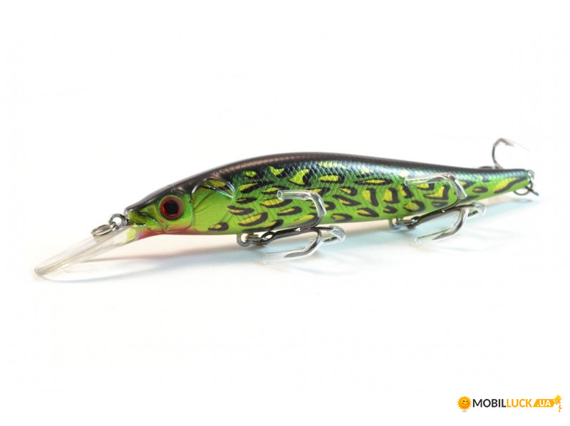  Worgen Minnow M817 11  16  77 (4101817277)