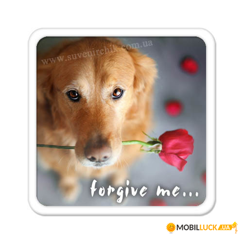    Forgive me... MA_L181