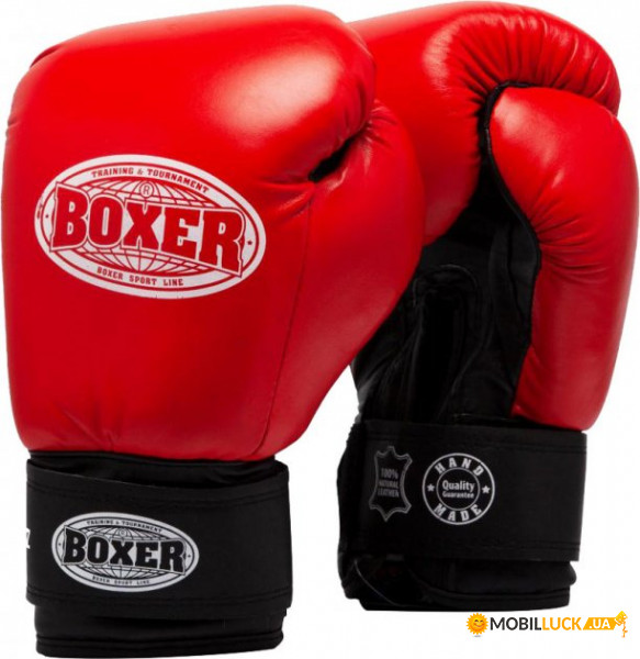   Boxer  (2023-04R)