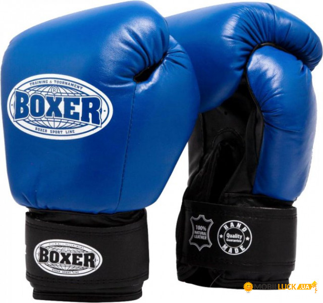   Boxer  (2023-04B)