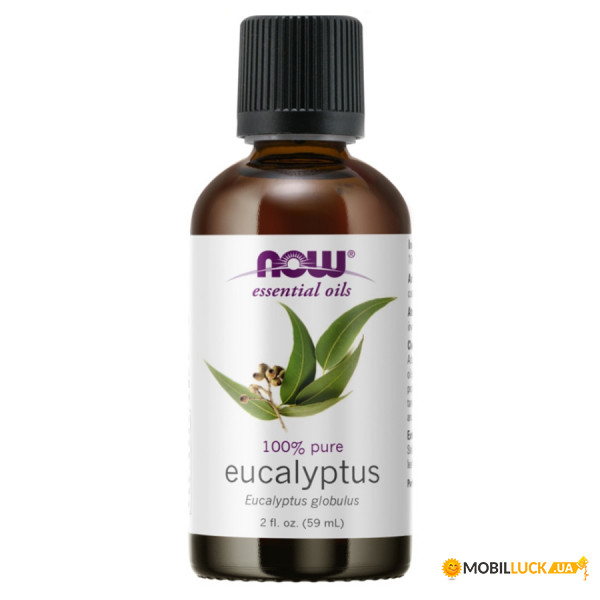  NOW Essential Oils Eucalyptus 59 