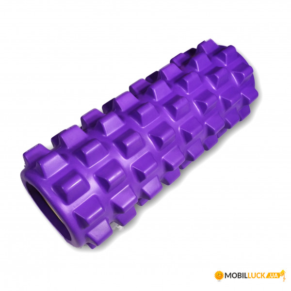   EasyFit Grid Roller Pro 33  